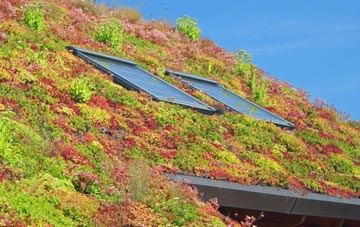 Calderbrook living roof systems