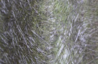 Calderbrook fibreglass roof work